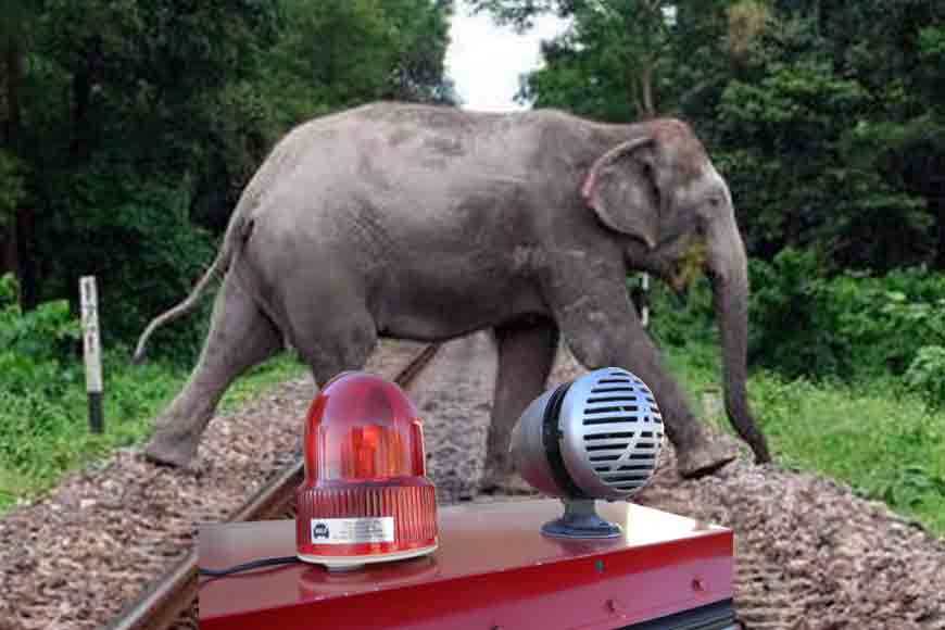 From elephant sirens to speed-breaker electricity