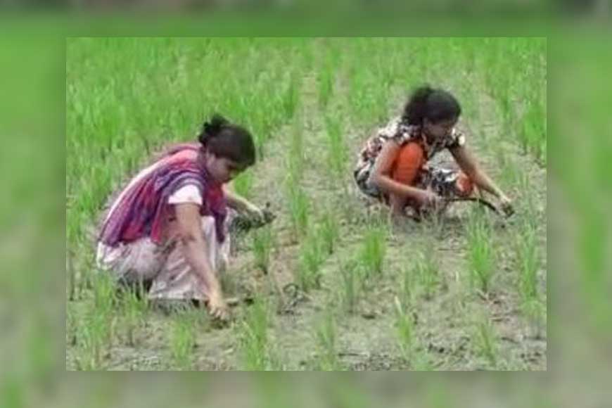 Meet the graduate farmer sisters of Habra – Deepa and Samapti Mondal