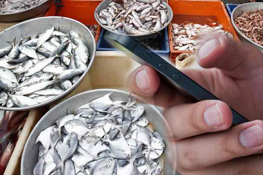 New fish app of Bengal govt, to bring fish at doorstep