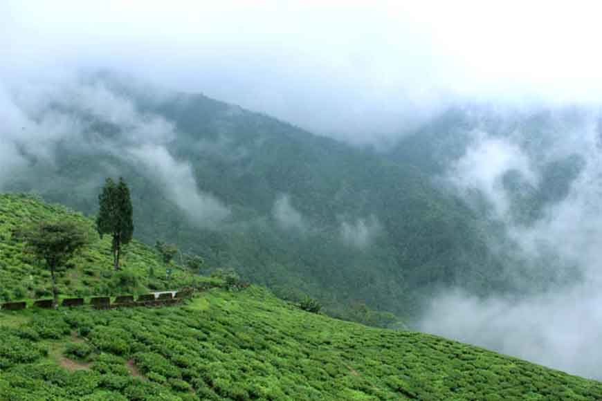 This winter be at second oldest tea estate and highest tea factory of the world!