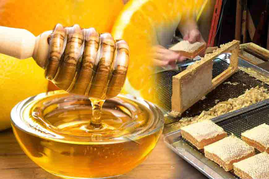 Coolie to Crorepati – amazing tale of Harun Mondal and his honey business