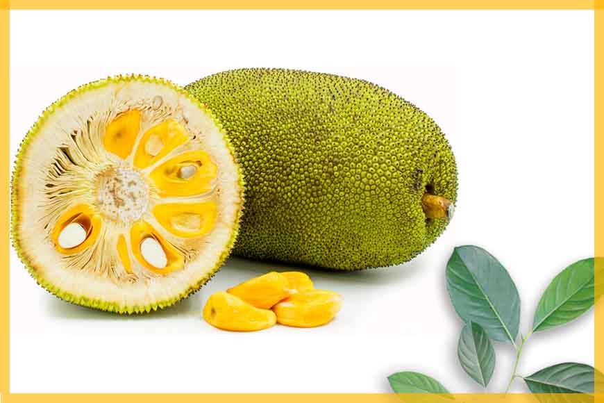 How is Bengal's Jackfruit good for you? - GetBengal story