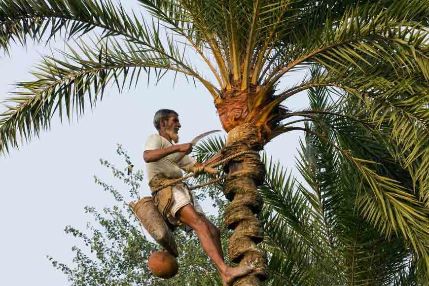 How North Bengal villagers are taking lessons from Bangladesh