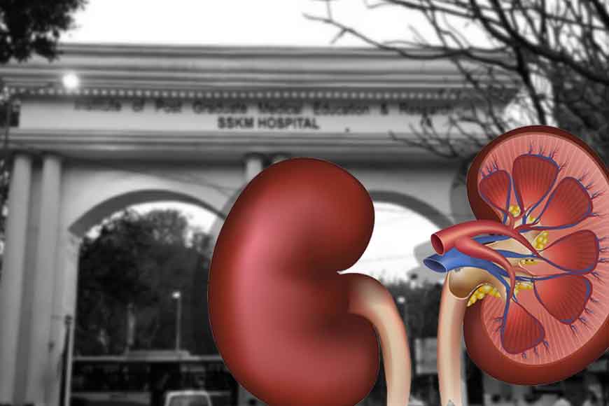 In just 12 minutes donor kidney reaches SSKM today via green corridor