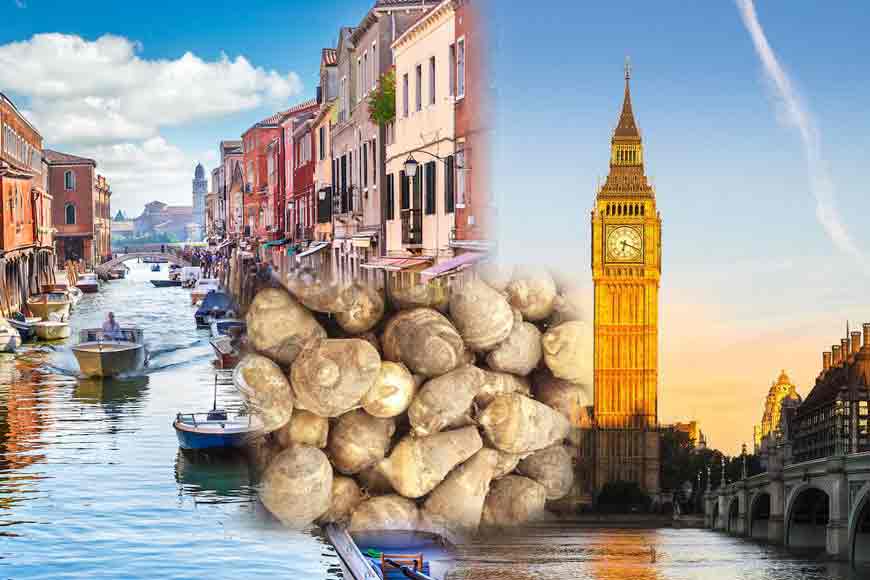 Bengal’s veggie Kochu gets huge export boost to Britain and Italy!