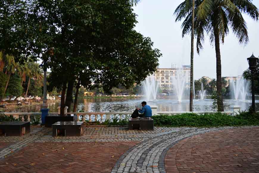 Calcutta High Court reduces tree felling numbers lal dighi