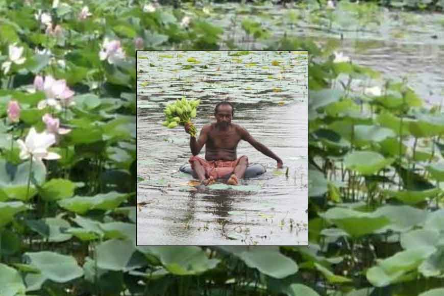 Lotus flowers to be exported by Bankura farmers to London