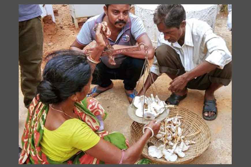 Mushroom of Bishnupur that costs more than mutton