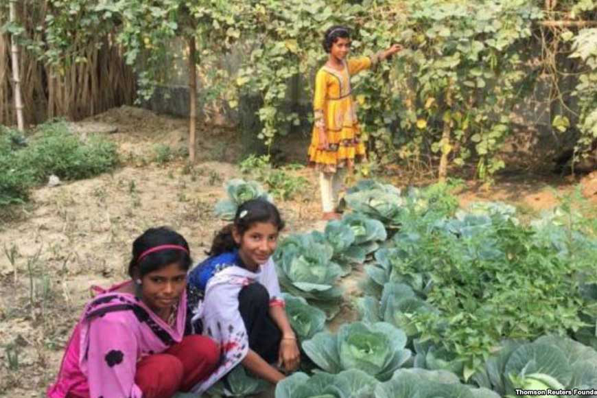 Students of ten city schools grow their own vegetables for mid-day meals