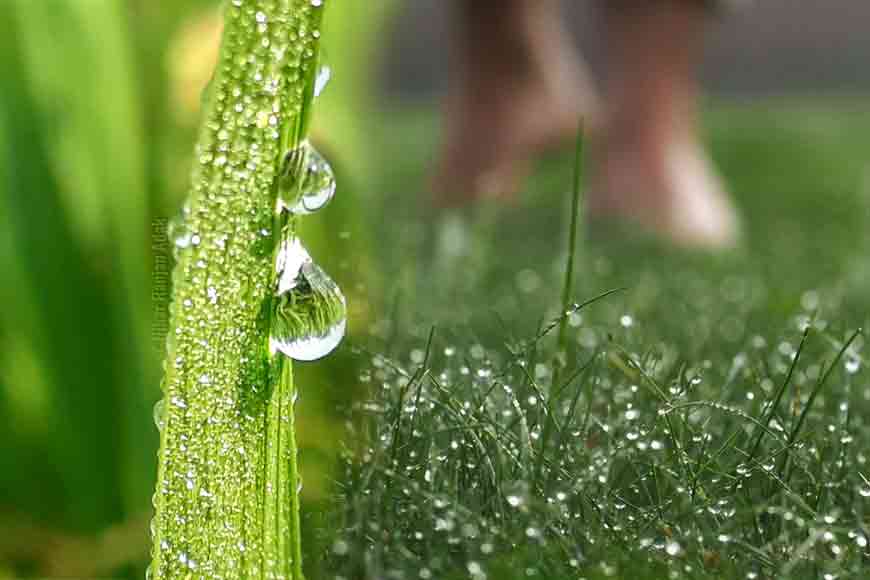 walk on dewy grass? Where to head to in Kolkata?