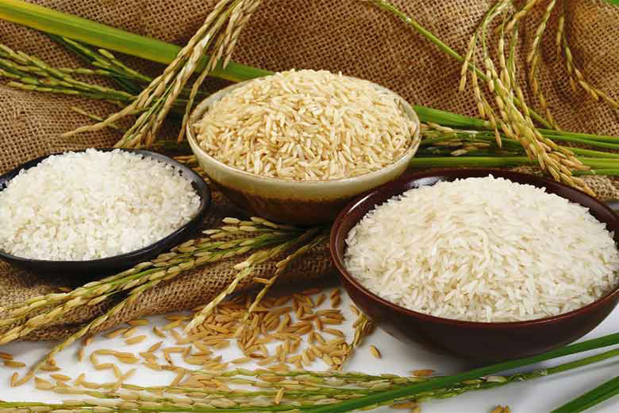 How Bengal is reviving lost varieties of paddy