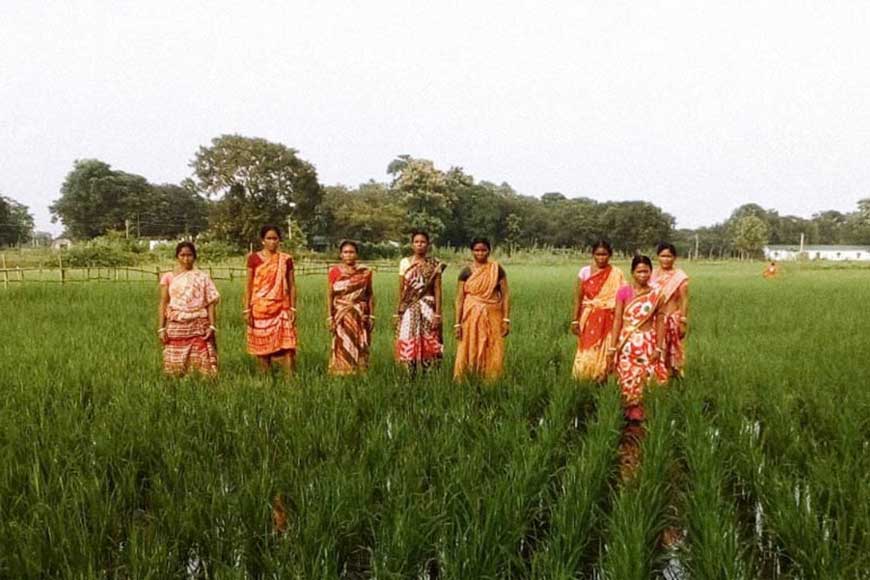 Siliguri’s Female Farmers script history in organic paddy and Kadaknath poultry farming