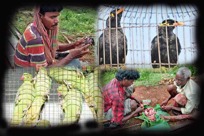 Bird hunting tribe of Bengal – The Pakhmaras