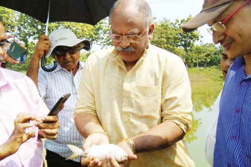 Bengali’s favourite Hilsa being reared in a pond!