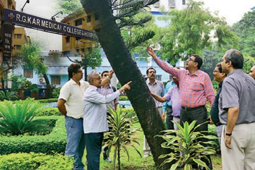 91-year-old X-mas tree to be rescued r.g.kar hospital 