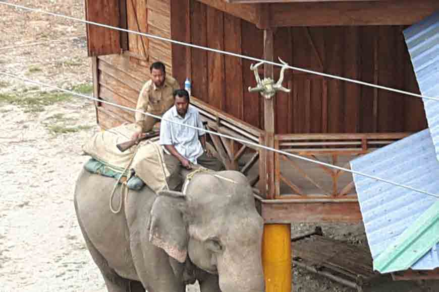 Jaldapara has almost prevented rhino poaching. How?