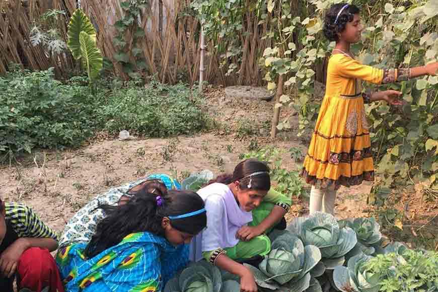 Nadia’s govt school grows own vegetables and fish for mid-day meals