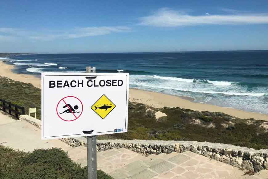 Scientist from Bengal saves Australians from sharks!