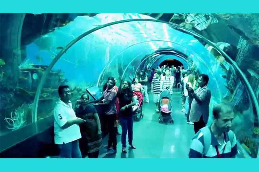 Siliguri to have Singapore styled Marine Aquarium