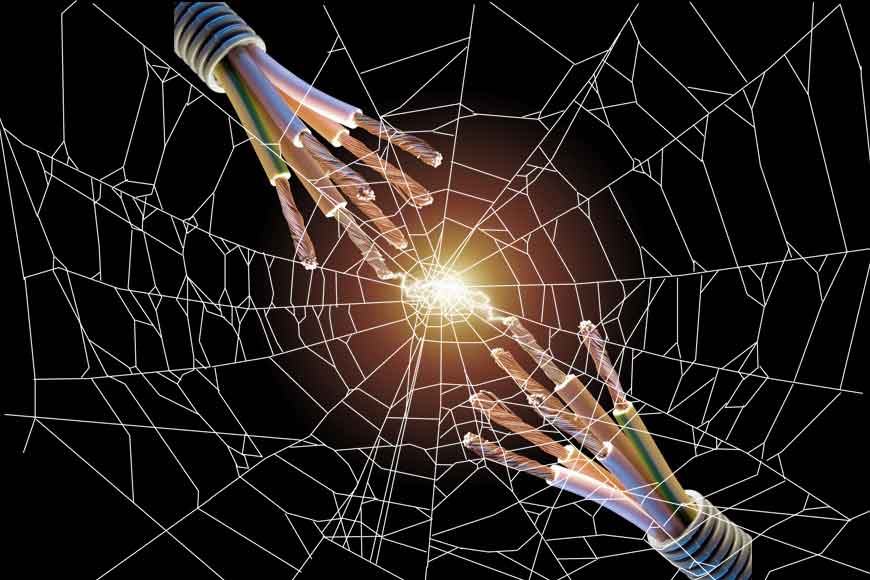 Scientists from Bengal discover electricity in spider webs