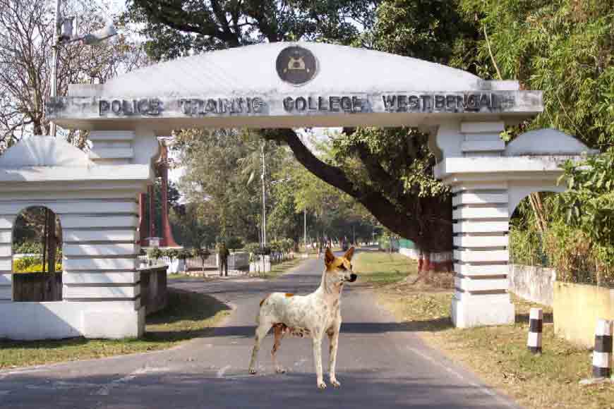 Kolkata’s stray ‘Neri’ dog proves herself in the dog squad!