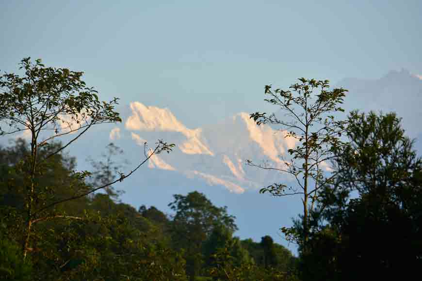 Want a healthy holiday? Visit Tinchuley, the organic village of Bengal