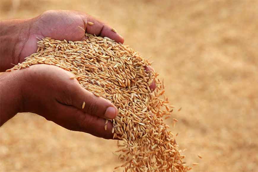 West Bengal sets a record in paddy production – GetBengal story