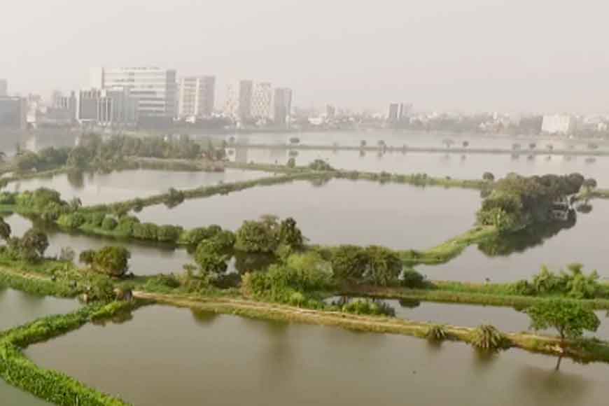 On World Wetlands Day, let us look at the wetlands of Kolkata