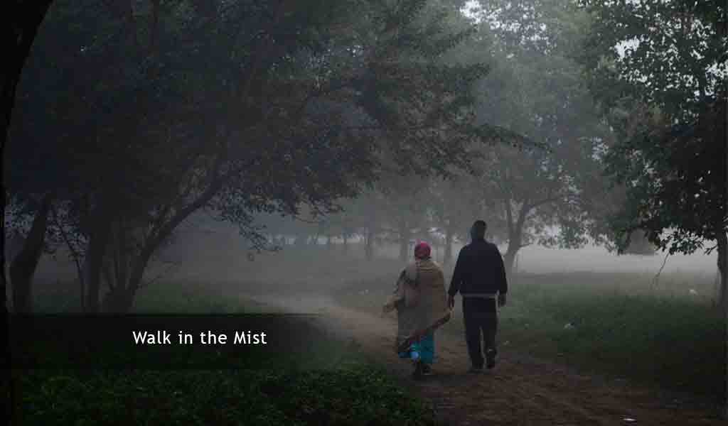Down a wintry kolkata Maidan