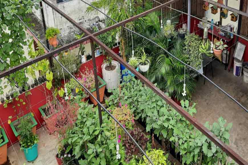 Gardening is good for health. Yes, even a tiny plant on the window sill