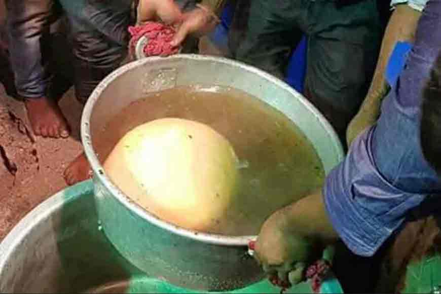 Fulia makes world’s largest rosogolla!